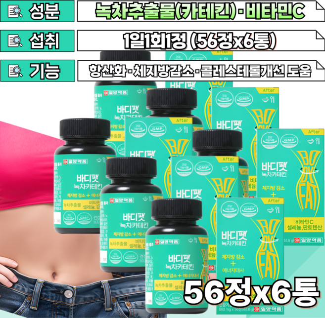 1일2회 아침저녁 식후1정 콜레스테롤개선 도움 카태킨 40대 남성 다이어트 오랜좌식 낮은활동량 볼록한 복부 뱃살 옆구리살 체지방감소도움 칼로리 팻 fat 컷 커트 커팅, 1개, 56정