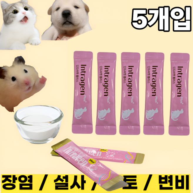 [인트라젠] 장염 설사 구토 변비 면역력강화 유산균 영양제 강아지 고양이 햄스터, 2g, 5개