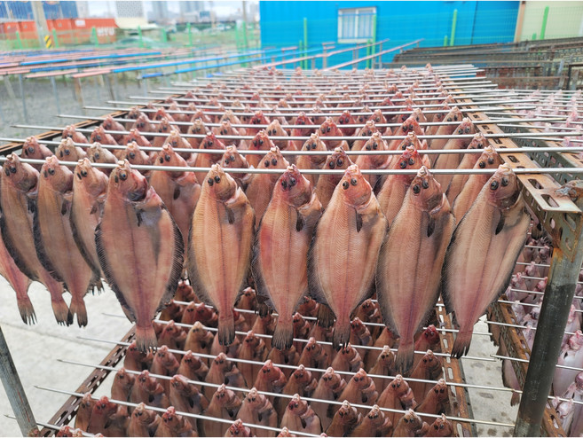 동해안 반건조 국내산 물가자미 5미 10미, 1개, 2kg