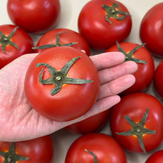 완숙토마토 유럽종 쥬스용 정품 혼합과, 1박스, 완숙토마토(정품) 3kg