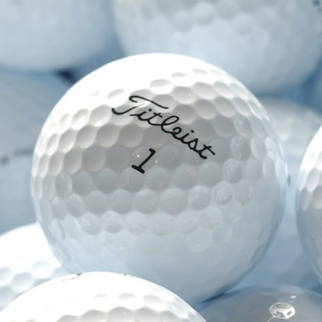 타이틀리스트 로스트볼 A급(10알 1세트), 1개입, 40개
