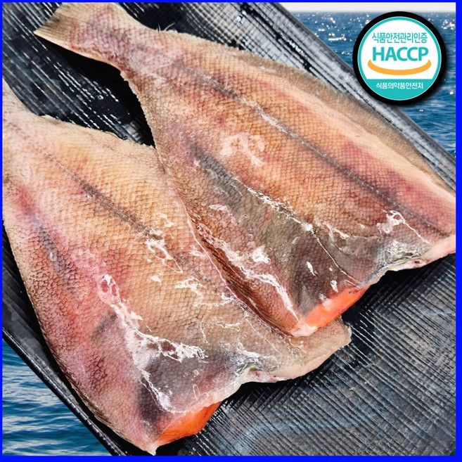 [푸른수산] 국내산 착한가성비 반건조 참가자미, 1세트, 500g (4미)