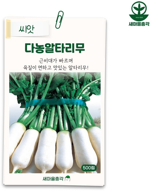 다농 알타리무 씨앗 500립 총각무 김장무, 1개