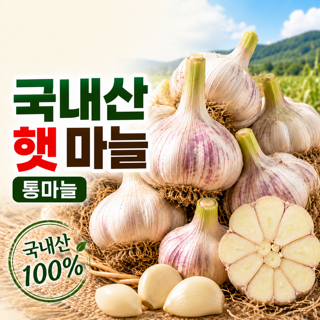 [26년 의성 햇마늘] 국내산 통마늘 산지직송 장아찌용 김장용 마늘, 1박스, 200g(소~중)