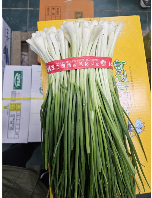 [당일손질] 다듬은쪽파 깐파 깐 쪽파 잔파 1단, 1개, 1kg, 다듬은쪽파 1단