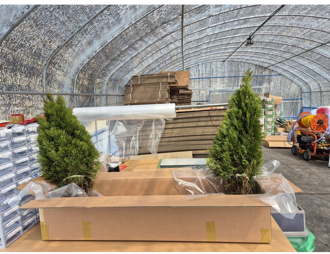 트리마켓 에메랄드그린 1m 중대형분묘, 2개, 1m분묘