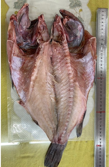 신안 만재도 해풍 반건조 열기 3마리 도미 1마리 농어 1마리 우럭 1마리, 반건조 우럭1마리 1kg내외, 1개