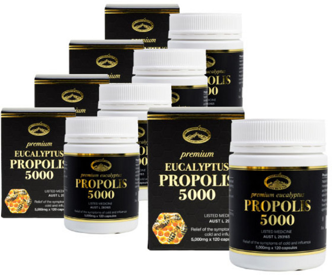 네이쳐스탑 프로폴리스 플라보노이드, 120정, 5개