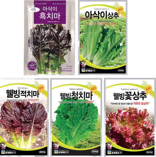 상추씨앗 모음 사계절 상추 5종 세트 아삭이흑치마 청치마 적치마 꽃상추 아삭이상추 씨앗 각1봉씩, 1개