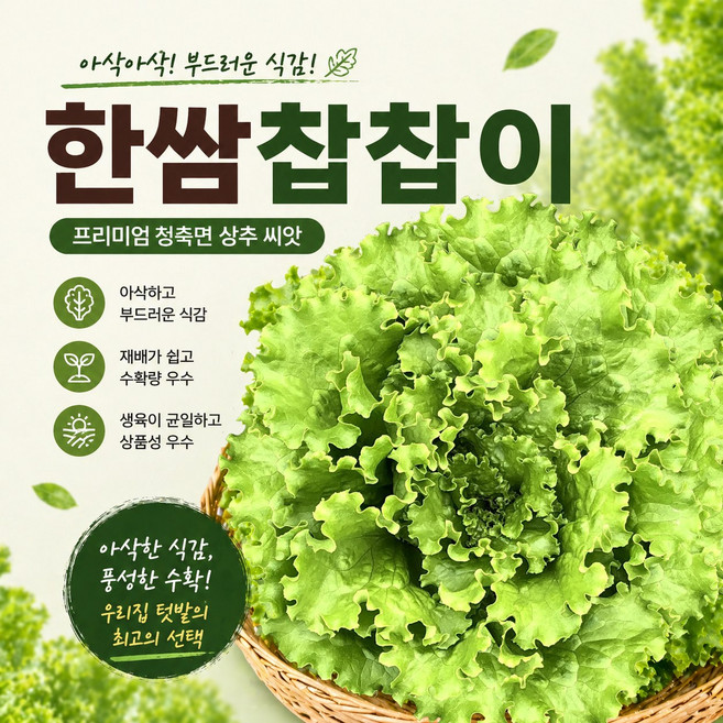 국내육종상추씨앗 한쌈찹찹이 청상추 아삭한식감 100립, 1개