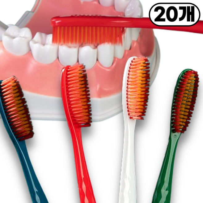 지빈 한방에 치아 닦는 대왕 헤드 칫솔 세트, 20개, 1세트