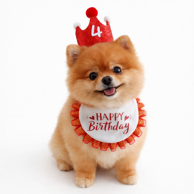 렛츠독 반려동물 생일 케이프 모자 숫자스티커 파티 촬영 소품 세트, 1개, 레드왕관세트