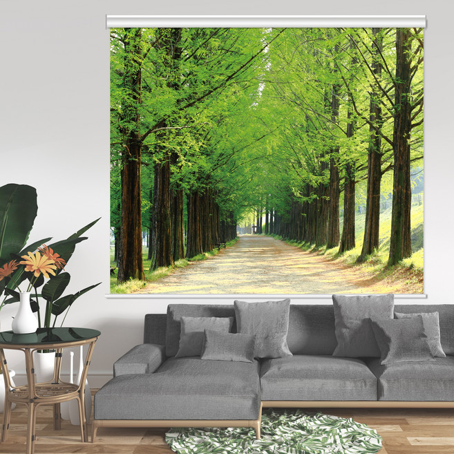 [아르테홈] 실사 암막롤스크린 (풍경2 메타세콰이어)