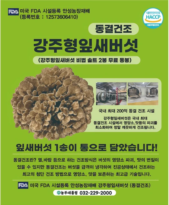 100% 국내산 동결건조 잎새버섯, 1개, 40g - 쿠팡