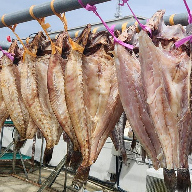 남도삼대농수산 신안 반건조 민어건정(대)50cm, 1, 단품