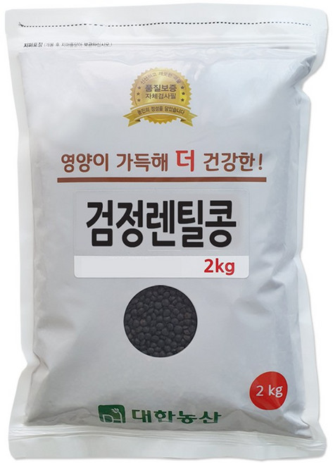 대한농산 검정렌틸콩 2kg 렌틸콩, 1개