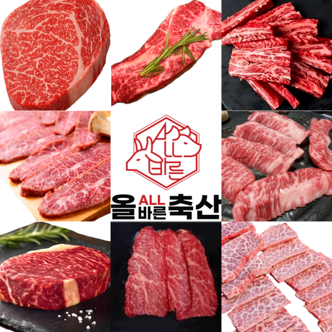 1+등급 원뿔 한우 구이용 200g 골라담기 꽃등심 등 총 8가지 옵션, 부채살 200g