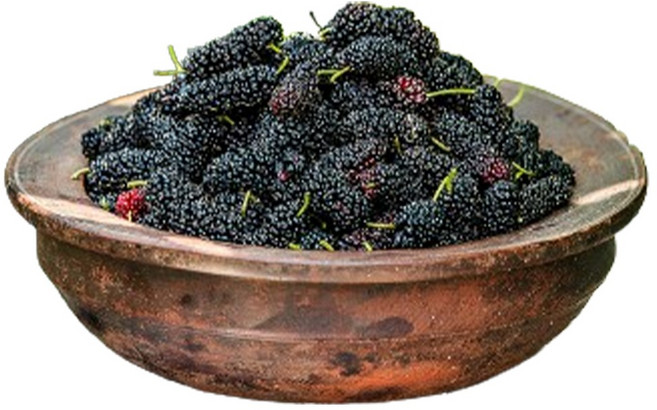 [억수로상회] 산지직송 햇오디 (과상 2호/상품/급냉), 1개, 5kg