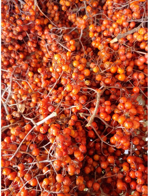 국산 건 마가목 열매 300g, 1개