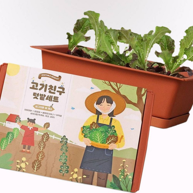 홈가드닝 키트 건강한 채소 씨앗 화분 세트