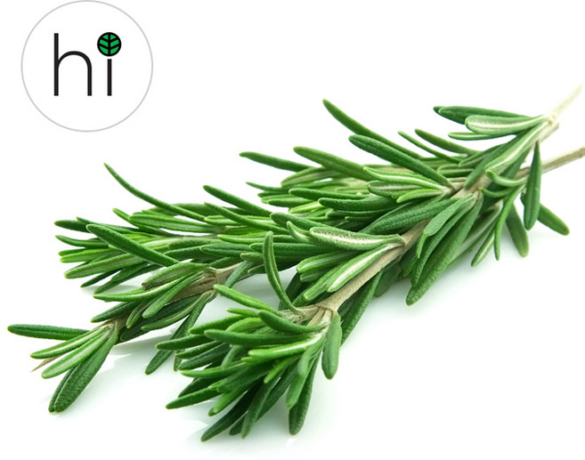 [허브아이] 손질 로즈마리 허브 생잎, 100g, 1개