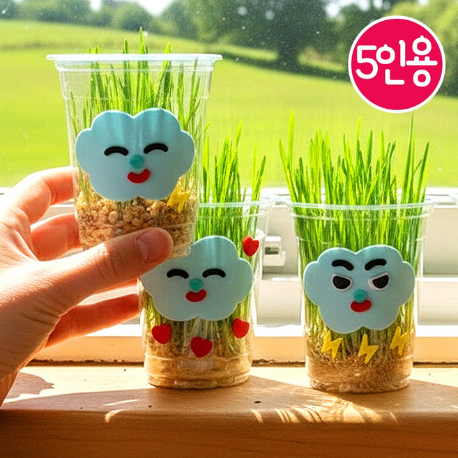 어린이집 봄 만들기 5인용 보리새싹 화분 식목일 미술활동 초등 노인 유치원, EVA 스티커 보리새싹 키우기(5인용세트)