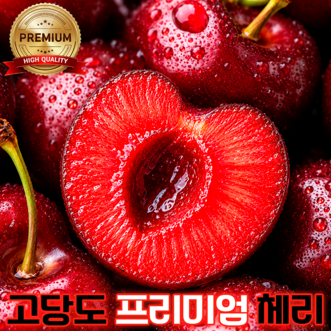 [백화점납품] 항공직송 프리미엄 고당도 체리, 1세트, 250g