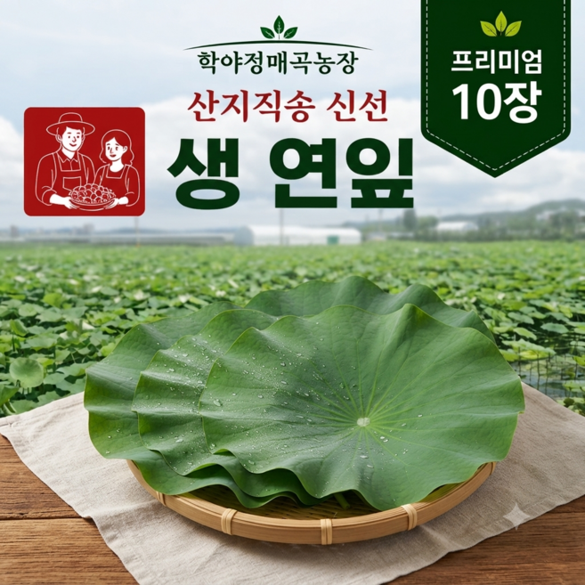 학야정 국산 생연잎 10장 연잎밥용 찜용 연잎, 1세트, 1kg