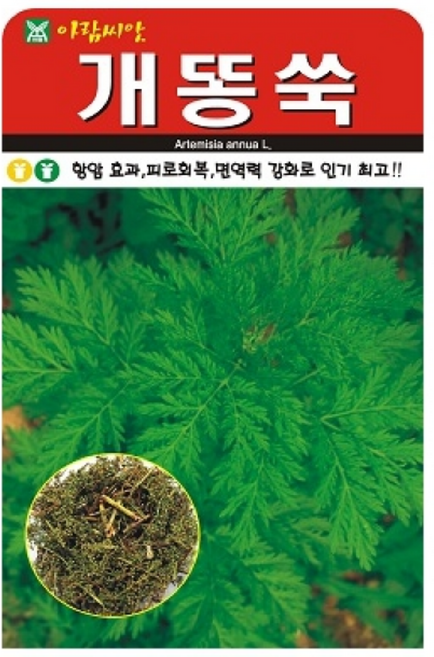 개똥쑥씨앗(20000립) 암에 좋은 씨앗 약초종자 (AR), 1개