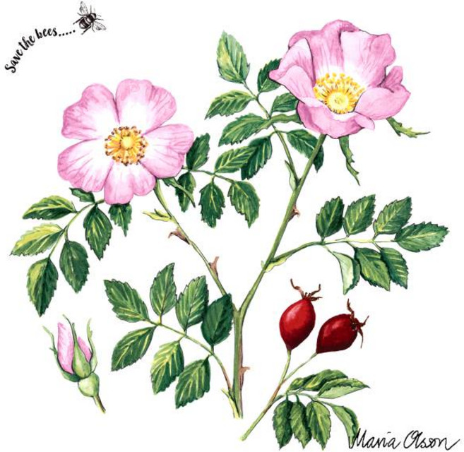 독일 냅킨 177074 20매/파티/피크닉/생일/냅킨아트, 독일냅킨 177074 (20매), 1개