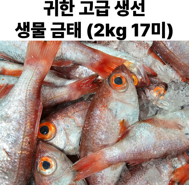국내산 생물 금태 눈볼대 아까무스 아까모찌 금태구이, 1세트, 생물 금태 2kg