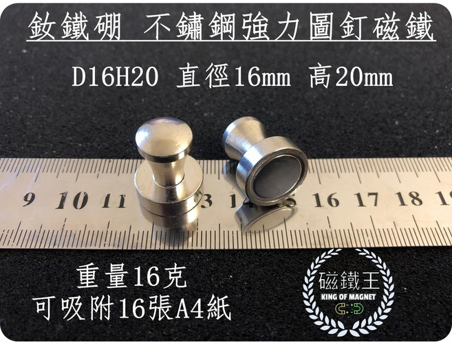 【磁鐵王】釹鐵硼金屬圖釘磁鐵 D16H20 (直徑16mm 高20mm) - 強力磁鐵 文具磁鐵, 1個