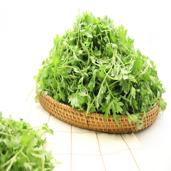 국내산 생 쑥 봄나물 산나물 나물채소, 1개, 200g