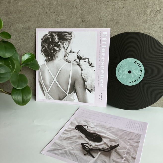 촬영소품 감성 카페인테리어 소품 페이크 레코드, 에플로레스