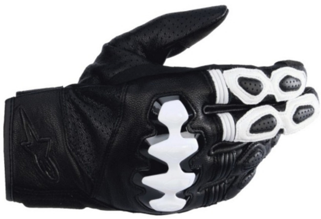 알파인스타 장갑 CELER V3 GLOVES 블랙 화이트, XL