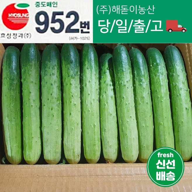 해돋이 농산 국내산 백오이 백다다기 다다기오이 특품 1박스 45개내외(43~50)