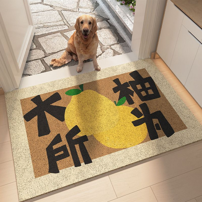 創意文字 大門口絲圈地墊 入戶門蹭土耐磨腳墊, 1個, 柚子-大柚所為50*80CM（絲圈）
