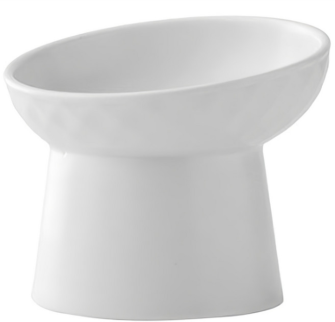 딩동펫 반려동물 허니 경사형 세라믹 식기, 화이트, 1개