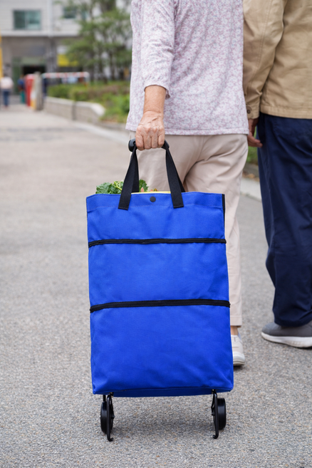 동나율 가볍게 끄는 장바구니카트 접이식 바퀴달린 쇼핑가방, 1개, 색상 랜덤