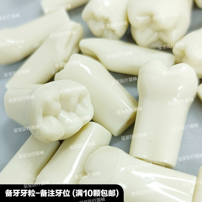 치과재료 가짜이빨 임시치아 28개 치과용 고정 치아 연습용 의치 나사 탈착식 개별 나사형 레진 타이포돈 모델, 수지 표준 시험 연습치 보통 예비치