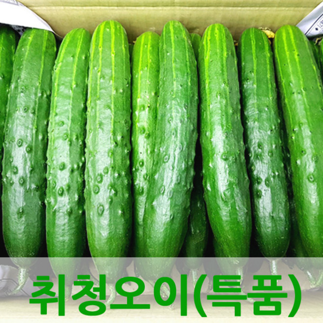 자체브랜드 싱싱한 오이 취청오이, 오이3kg(특품), 1개