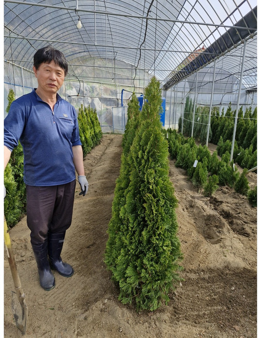 남림원예종묘 에메랄드그린 1.2m이상 분묘, 에메랄드그린 1.2m분묘, 1개