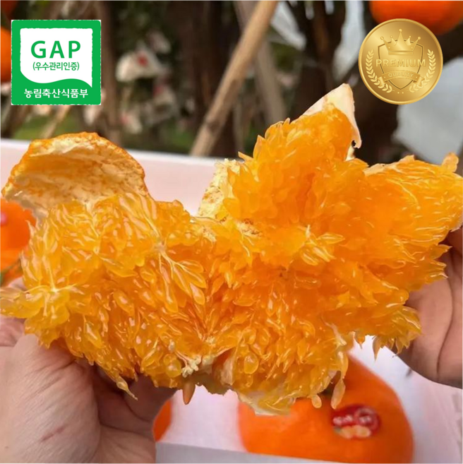 [레드향 선물세트] 프리미엄 레드향 고당도brix, 1박스, 선물용 레드향 3kg (13~16과)