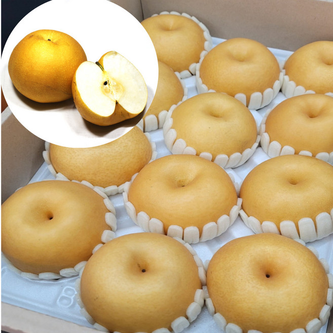 상주 고당도 신고배 선물용배선물 나주과일, 1개, 3kg