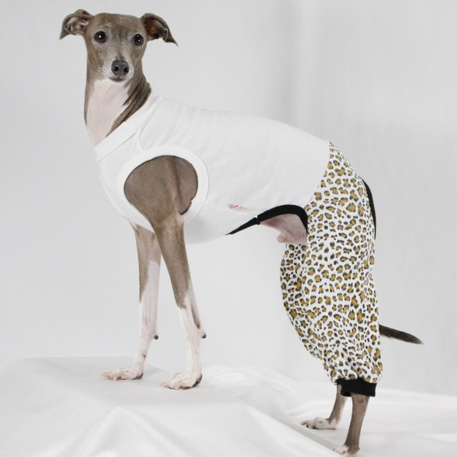 도기스타 이탈리안그레이하운드옷 아이쥐옷 호피 패션 올인원, 1개, 레오파드