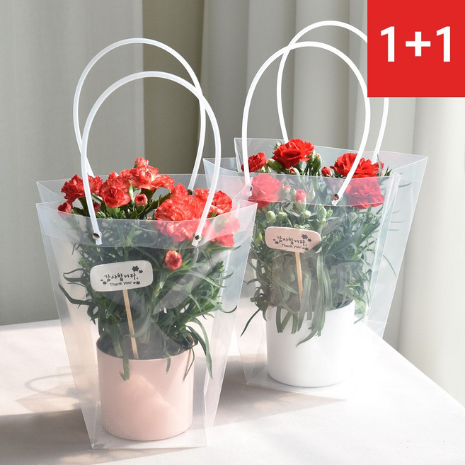필플랜트 카네이션 생화 화분 1+1, [1+1] 카네이션 세트(화분커버/화이트)