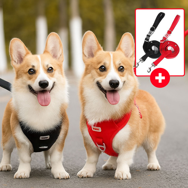 제로브랜드 강아지 하네스 리드줄 세트 앞섬방지, 1개, 블랙