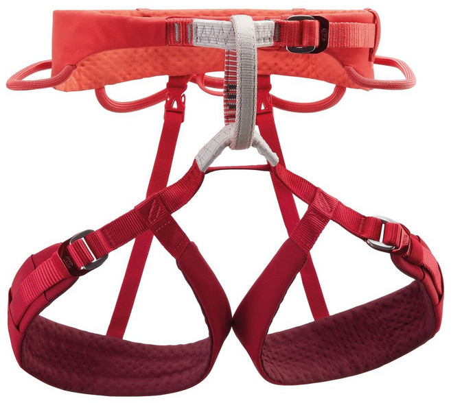 페츨 New 루나 여성용 하네스 (2025 신제품) AP-C035CA