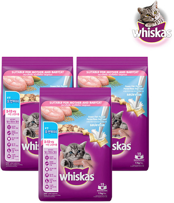 위스카스 전연령용 고양이 주니어 오션피쉬 건식사료, 우유, 1.1kg, 3개