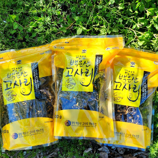 [서기네농장]광양 백운산 고사리 햇고사리 말린고사리 건고사리, 건고사리100g, 1개